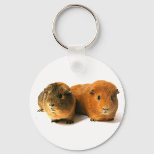 cute guinea pig キーホルダー