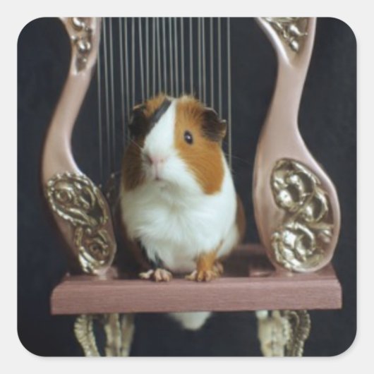 Cute Guinea Pig Harp Sticker スクエアシール (正面)