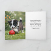 Cute Happy Birthday Border Collie Greeting Card カード (内部)