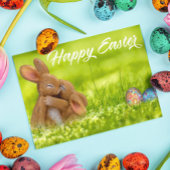 Cute Happy Easter Bunny Eggs Spring ポストカード