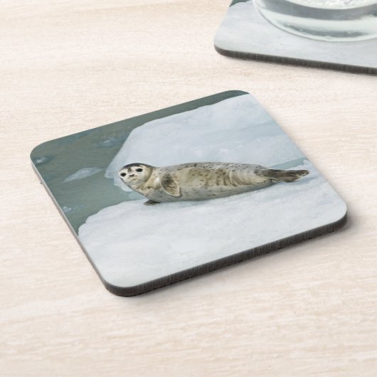 Cute Harbor Seal on Snow コースター (左側)