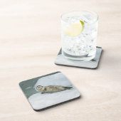 Cute Harbor Seal on Snow コースター (右側)