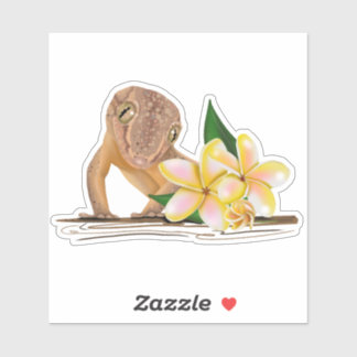 Cute Hawaii Gecko  シール