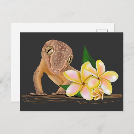 Cute Hawaii Gecko  ポストカード (正面/裏面)