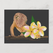 Cute Hawaii Gecko ポストカード (正面)