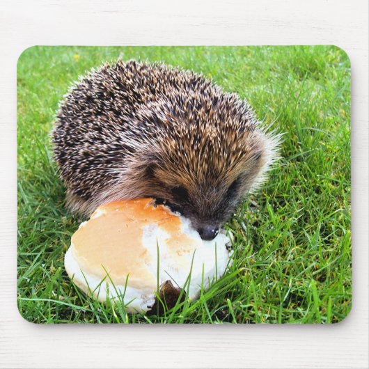 CUTE HEDGEHOG マウスパッド (正面)