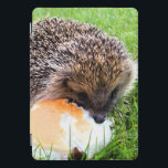 CUTE HEDGEHOG  iPad PROカバー<br><div class="desc">A cute little hedgehog enjoying a rather large meal!</div>