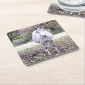 CUTE HORSE  スクエアペーパーコースター (アングル)