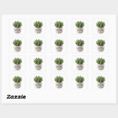 Cute Kawaii Marble Pot Succulent Die-Cut Sticker スクエアシール (シート)