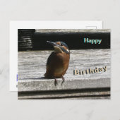 Cute Kingfisher Close Up Happy Birthday Postcard シーズンポストカード (正面/裏面)
