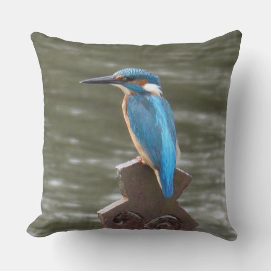 Cute Kingfisher Throw Pillow クッション (正面)