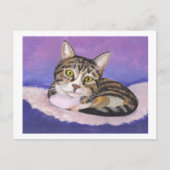 Cute Kitten ポストカード (正面)
