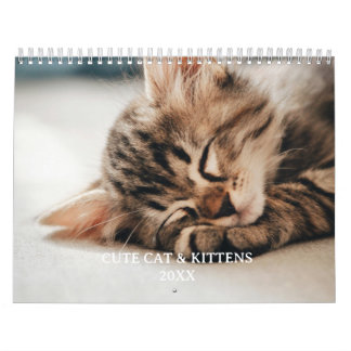 Cute Kitten And Cat Pet Photo カレンダー