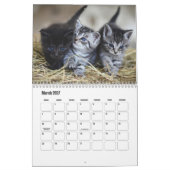 Cute Kitten Calendar カレンダー (3月 2027)