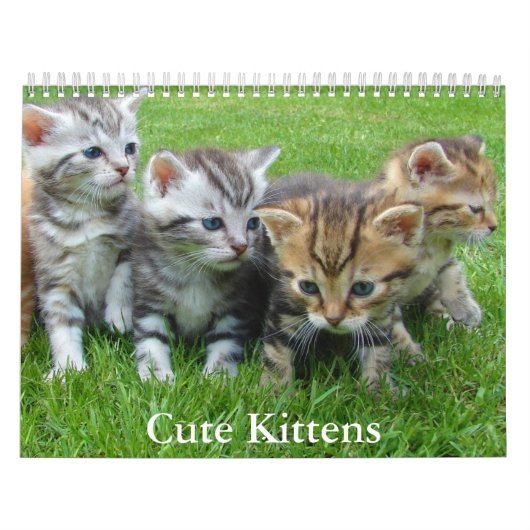 Cute Kitten Calendar カレンダー (カバー)