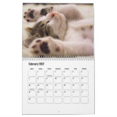Cute Kitten Calendar カレンダー (2月 2027)
