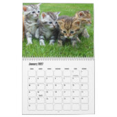 Cute Kitten Calendar カレンダー (1月 2027)