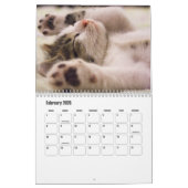 Cute Kitten Calendar カレンダー (2月 2026)