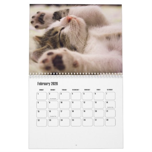 Cute Kitten Calendar カレンダー (2月 2026)