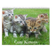Cute Kitten Calendar カレンダー (カバー)