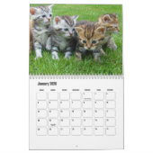 Cute Kitten Calendar カレンダー (1月 2026)