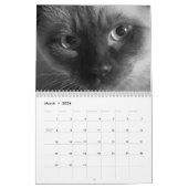Cute kitten calender for 2026 カレンダー (3月 2026)