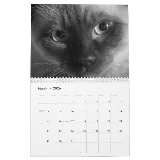 Cute kitten calender for 2026 カレンダー (3月 2026)