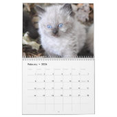 Cute kitten calender for 2026 カレンダー (2月 2026)