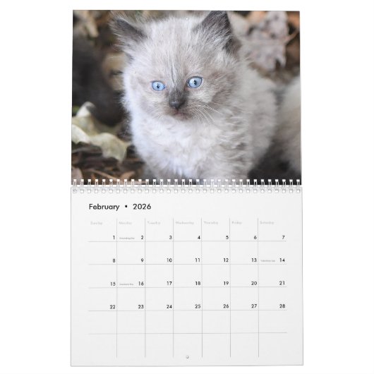Cute kitten calender for 2026 カレンダー (2月 2026)