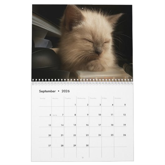 Cute kitten calender for 2026 カレンダー (9月 2026)