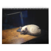 Cute kitten calender for 2026 カレンダー (カバー)