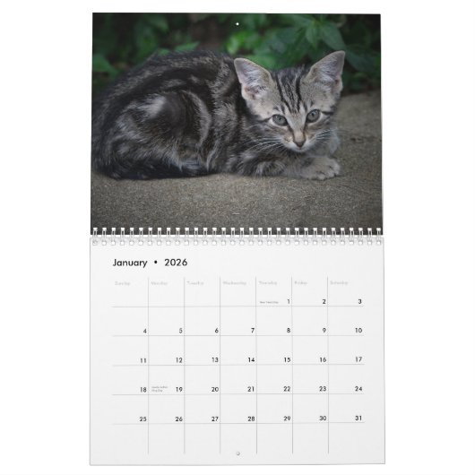 Cute kitten calender for 2026 カレンダー (1月 2026)