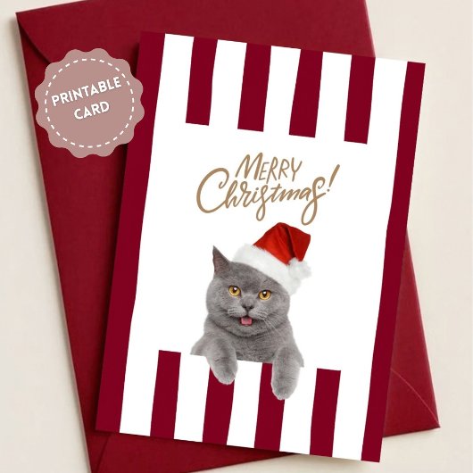 Cute Kitten Christmas Card カード