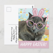  Cute Kitten with Bunny Ears photo ポストカード (正面/裏面)