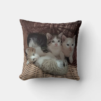 Cute Kittens in Basket Throw Pillow クッション