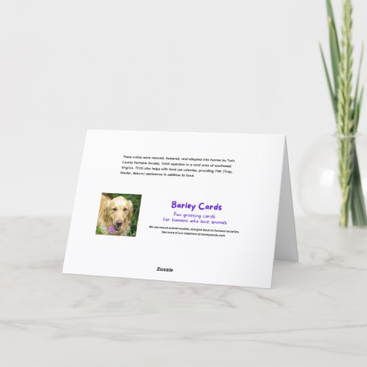 Cute Kittens Many Paws Happy Birthday カード (裏面)