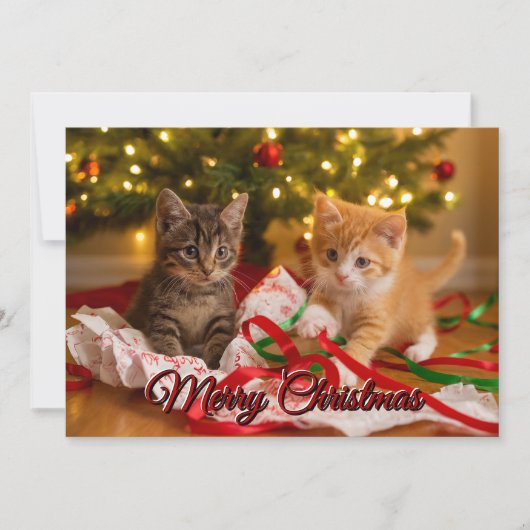 Cute Kittens Under Christmas Tree シーズンカード (正面)