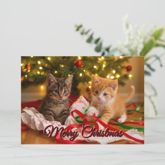 Cute Kittens Under Christmas Tree シーズンカード (スタンド正面)
