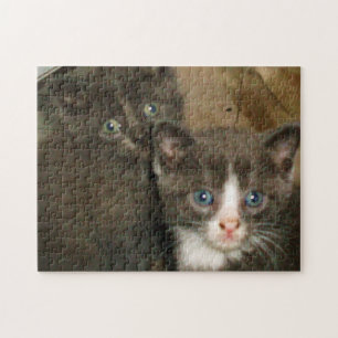 CUTE KITTIES JIGSAW PUZZLE ジグソーパズル