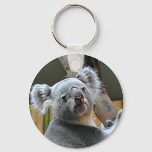 "Cute Koala Bear" design  gifts and products キーホルダー
