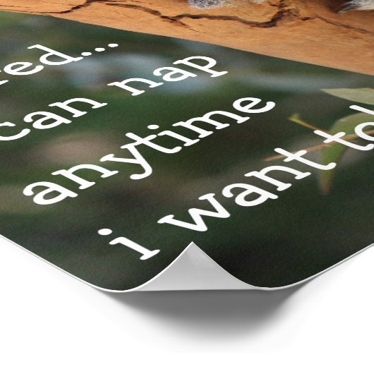 Cute Koala Bear, i'm retired, i can nap anytime!! ポスター (角)