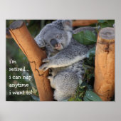 Cute Koala Bear, i'm retired, i can nap anytime!! ポスター (正面)