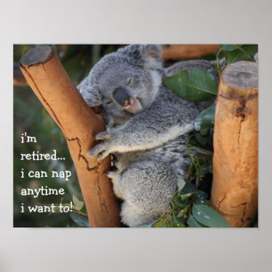 Cute Koala Bear, i'm retired, i can nap anytime!! ポスター