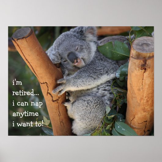 Cute Koala Bear, i'm retired, i can nap anytime!! ポスター (正面)