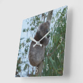 Cute Koala Climbing in a Tree Australia Square Wal スクエア壁時計 (傾斜)