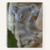 Cute Koala Notebook ノートブック (正面)