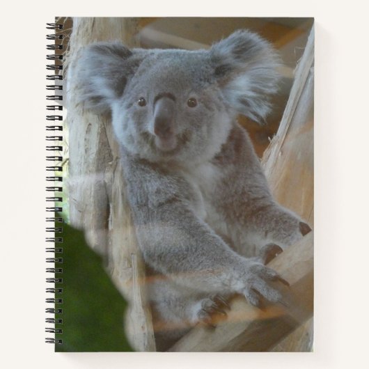 Cute Koala Notebook ノートブック (正面)