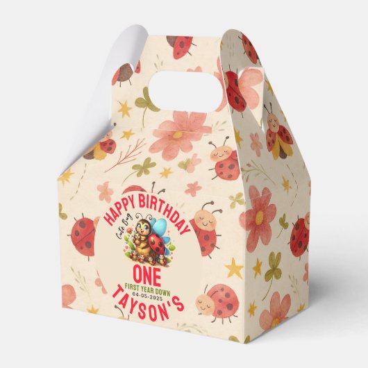 Cute Ladybug 1st Birthday | Bug Theme Party フェイバーボックス (正面サイド)