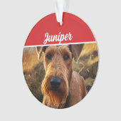 Cute Lakeland Terrier Dog Holiday Christmas Photo オーナメント (正面)
