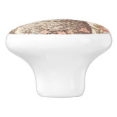 Cute Lamb Delicate Pastel Floral セラミックノブ (側面)